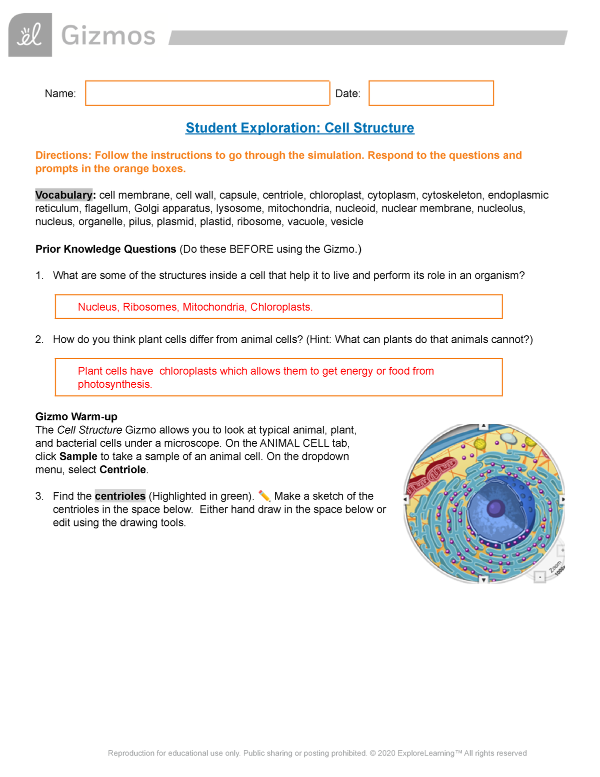 cell structure research paper