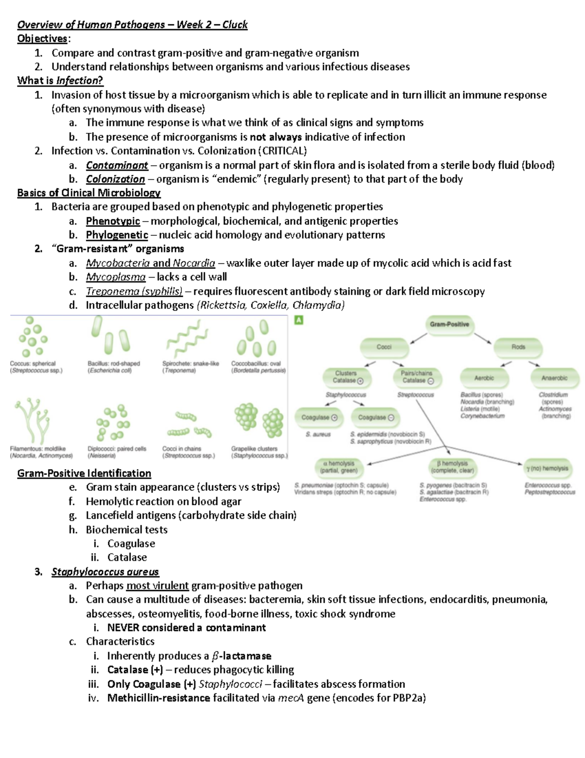 ID - Overview of Human Pathogens - Overview of Human Pathogens – Week 2 ...