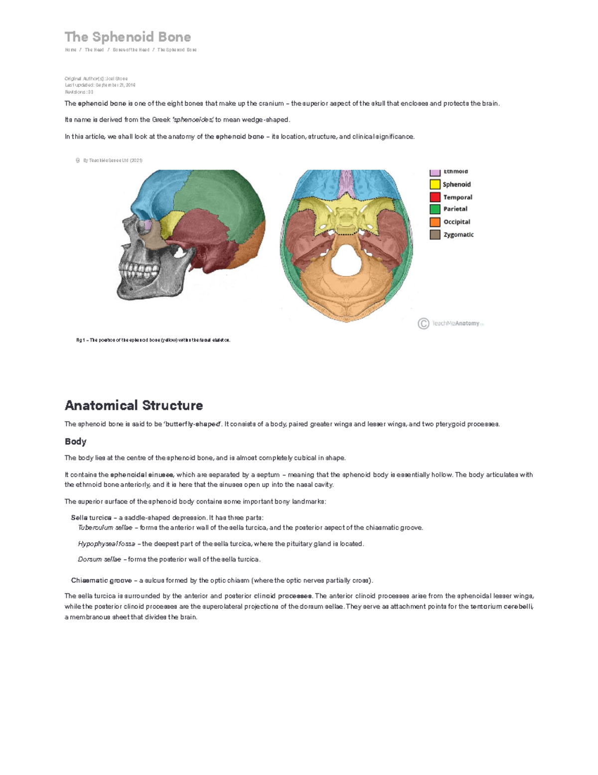 Sphenoid Bone - Location - Structure - Function - Teach Me Anatomy ...