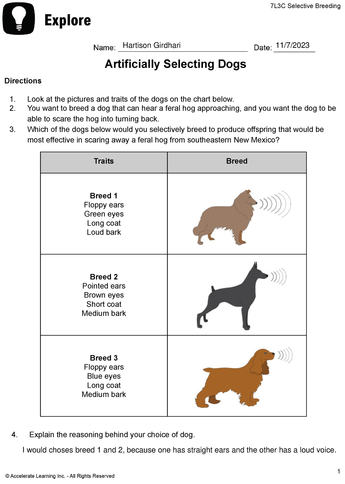 Hartison Girdhari - [Template] GA 7L3C Selective Breeding Explore ...