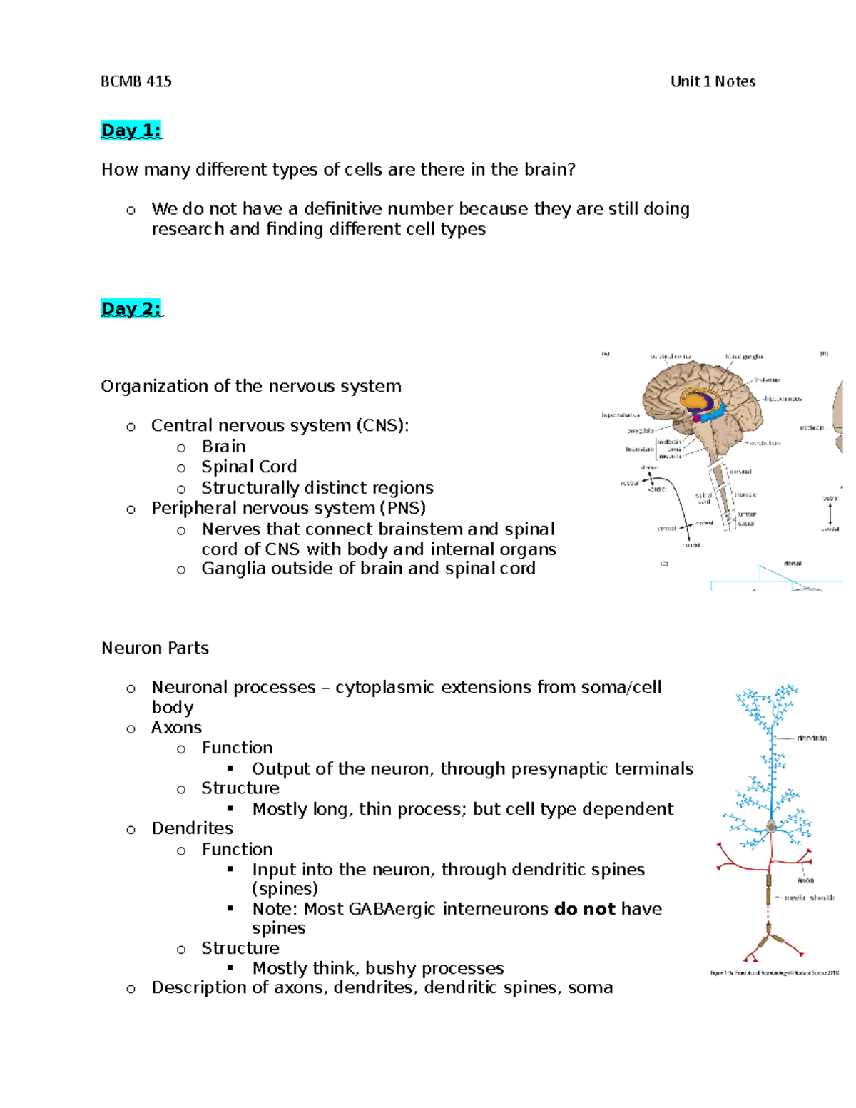 BCMB 415 Unit 1 Notes - Text: Principles Of Neurobiology - Day 1: How ...