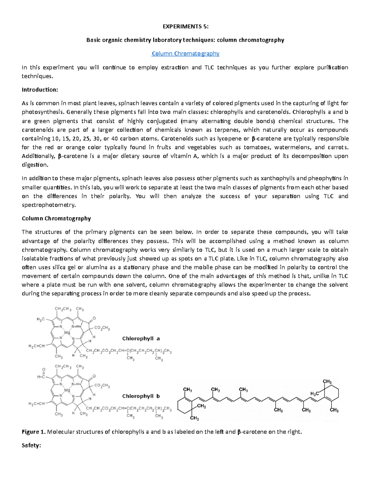 Spinach Extraction Column Chromatography EXPERIMENTS 5 Basic