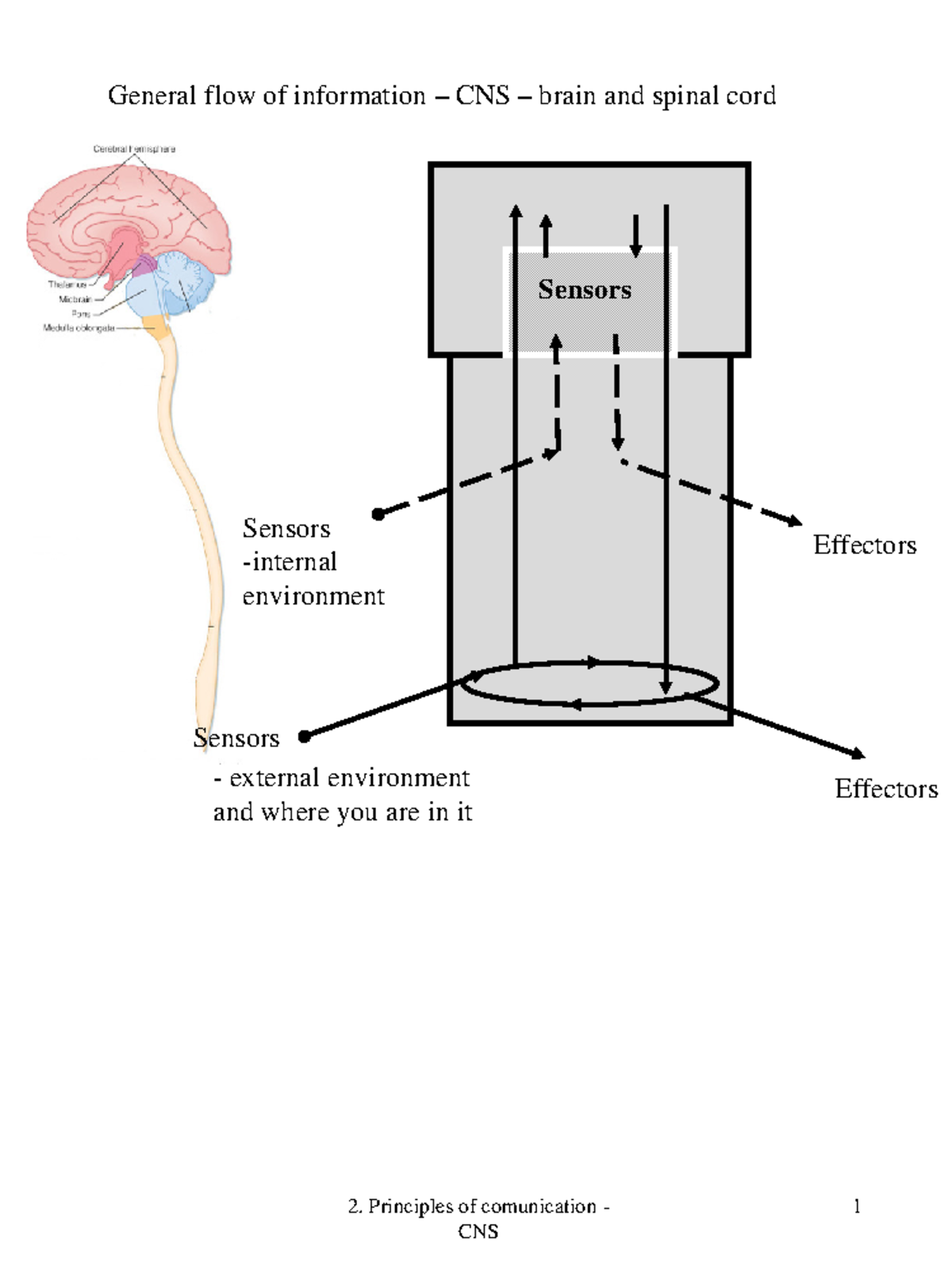 Human phys Unit 2 March 7 - 2. Principles of comunication - 1 General ...