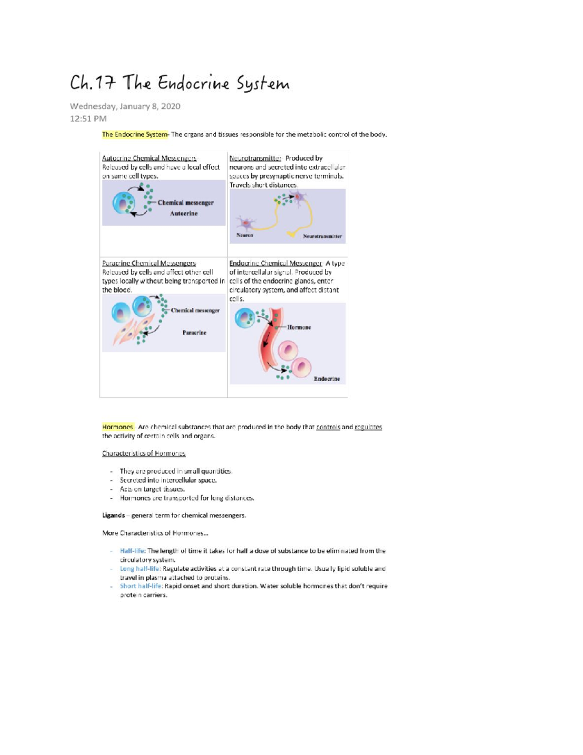 The Endocrine System - Lecture Notes 1 - The Endocrine System And The ...