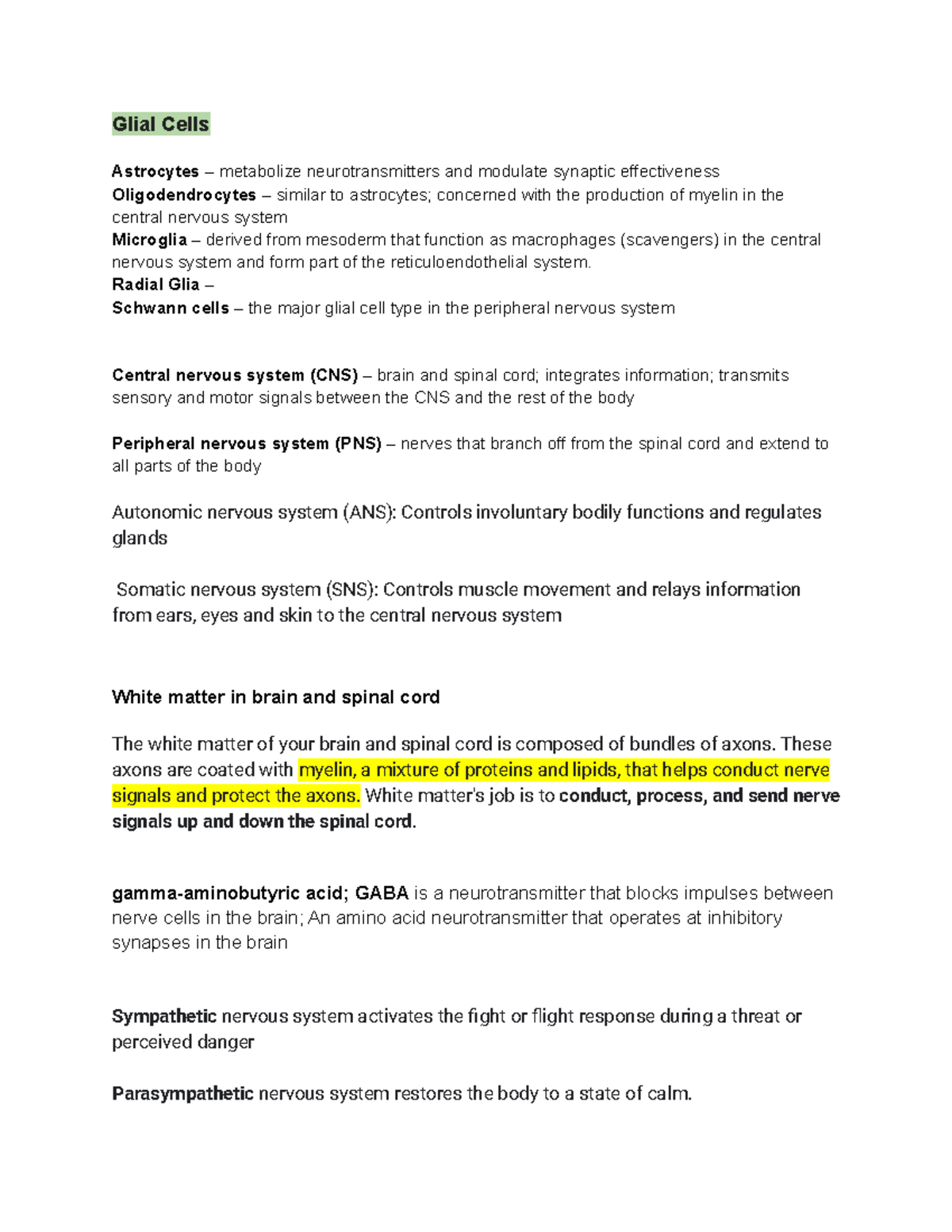 BIO 2 Neuro Lab Notes - Glial Cells Astrocytes – metabolize ...