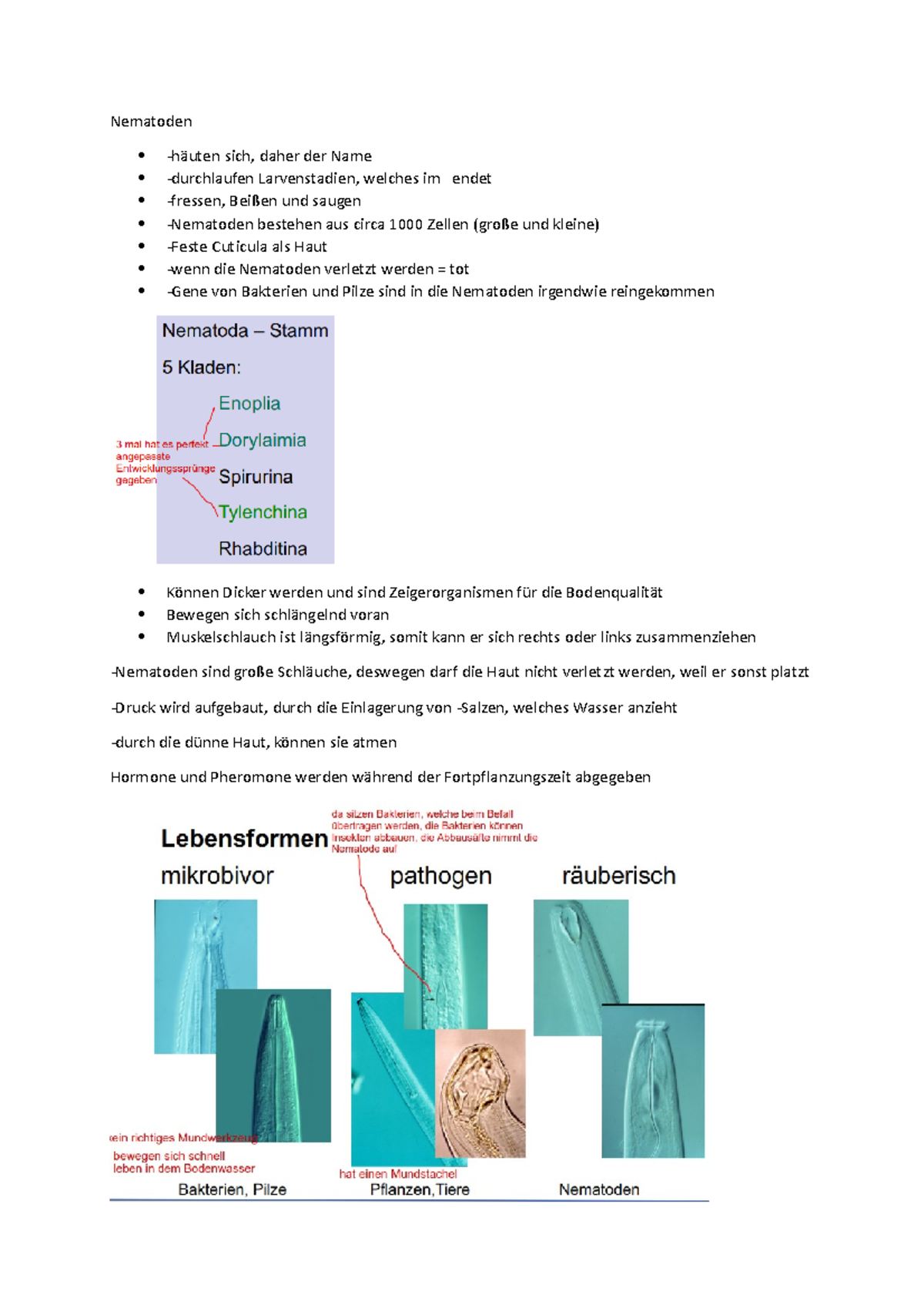 Zusammenfassung Pathogene und Schaderreger - Nematoden -häuten sich ...