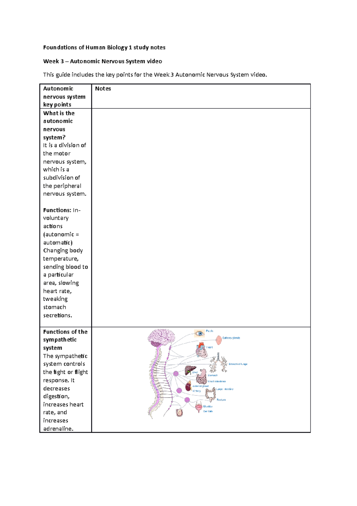 FHB1 Study Notes Week 3 autonomic nervous system - Foundations of Human ...