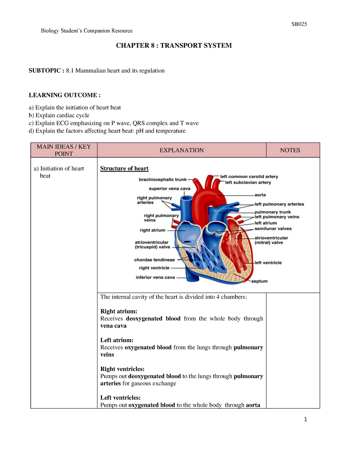 8-transport-system-notes-biology-student9s-companion-resource