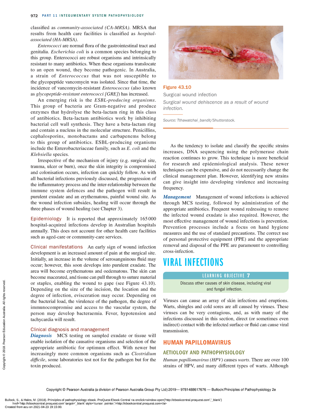 Principles of Pathophysiology EBook - (Part 11 Integumentary system ...