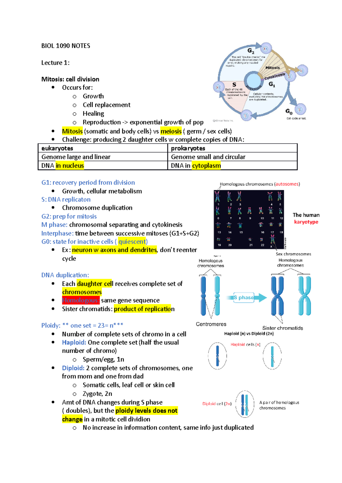 BIOL 1090 Notes - BIOL 1090 NOTES Lecture 1: Mitosis: Cell Division ...