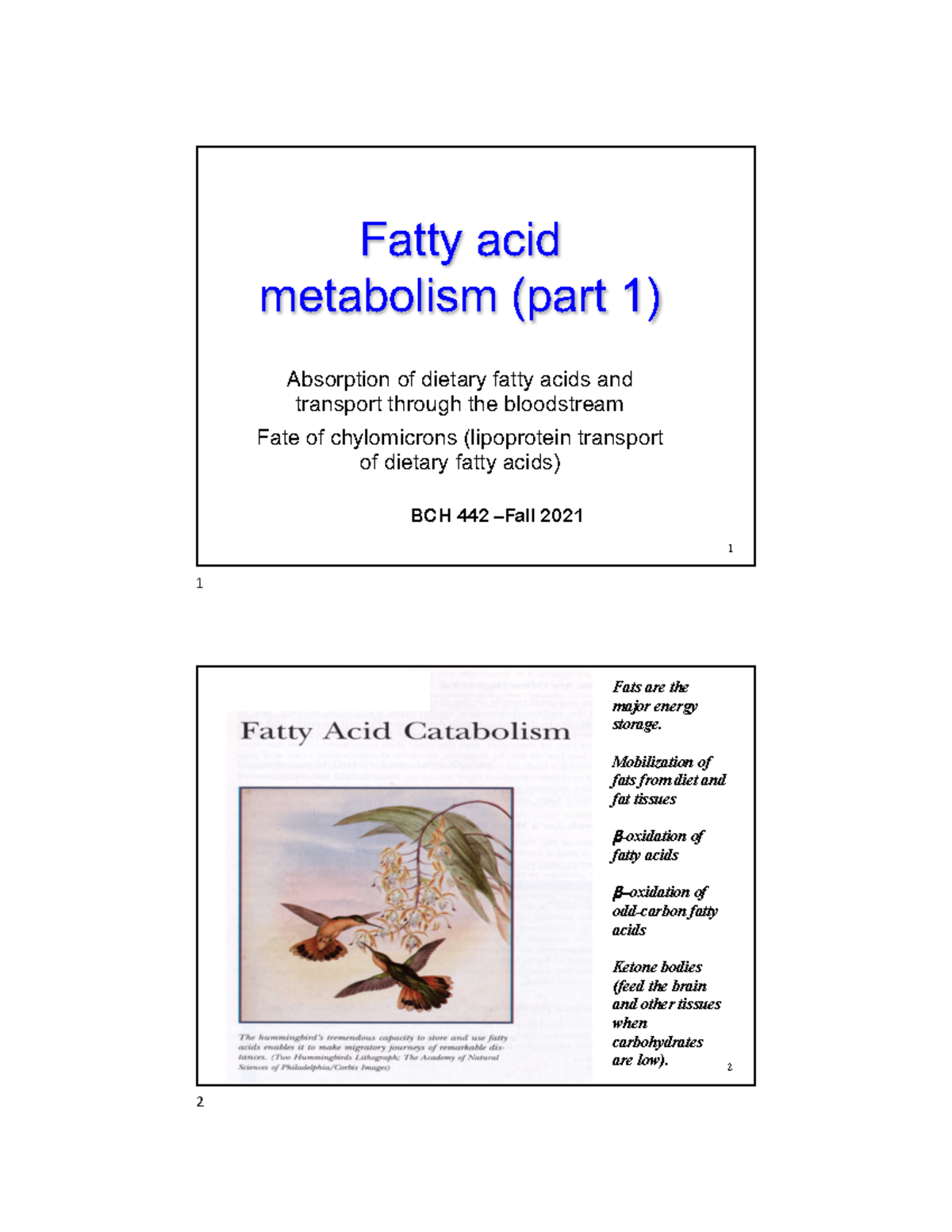 Lect22 Lipid metabolism Part1 - Fatty acid metabolism (part 1 ...