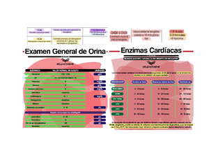 Urgencias rúbricas - rubricas - Instalación y Evaluación del Paciente ...
