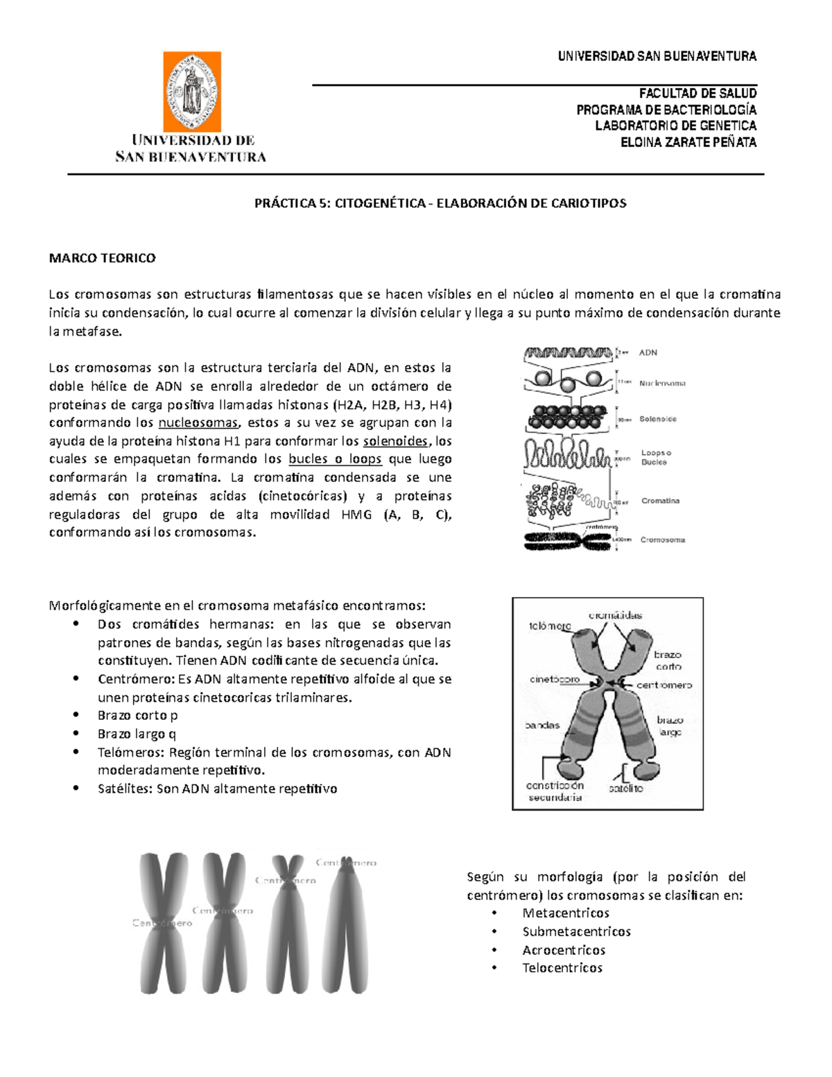 Guía Elaboración De Cariotipos Para Identificar Y Organizar Los ...