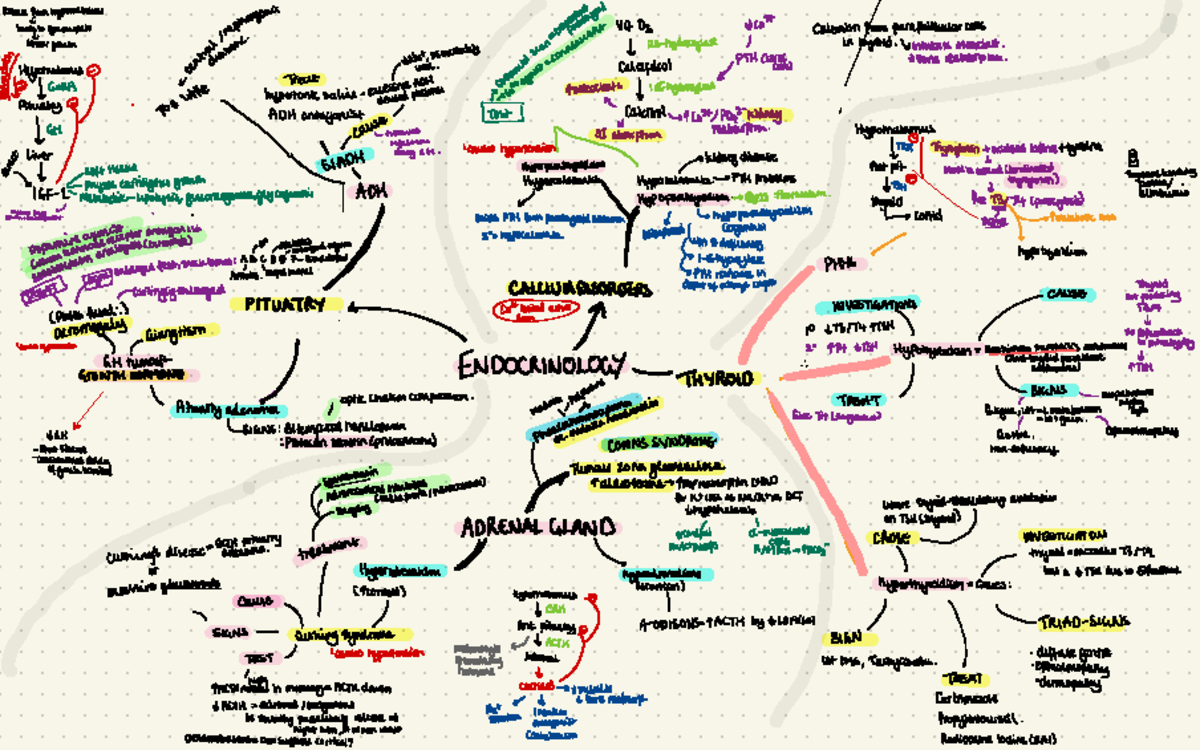 ELC Revision Mindmaps - Notes - Release from hypomalans binasto grown ...