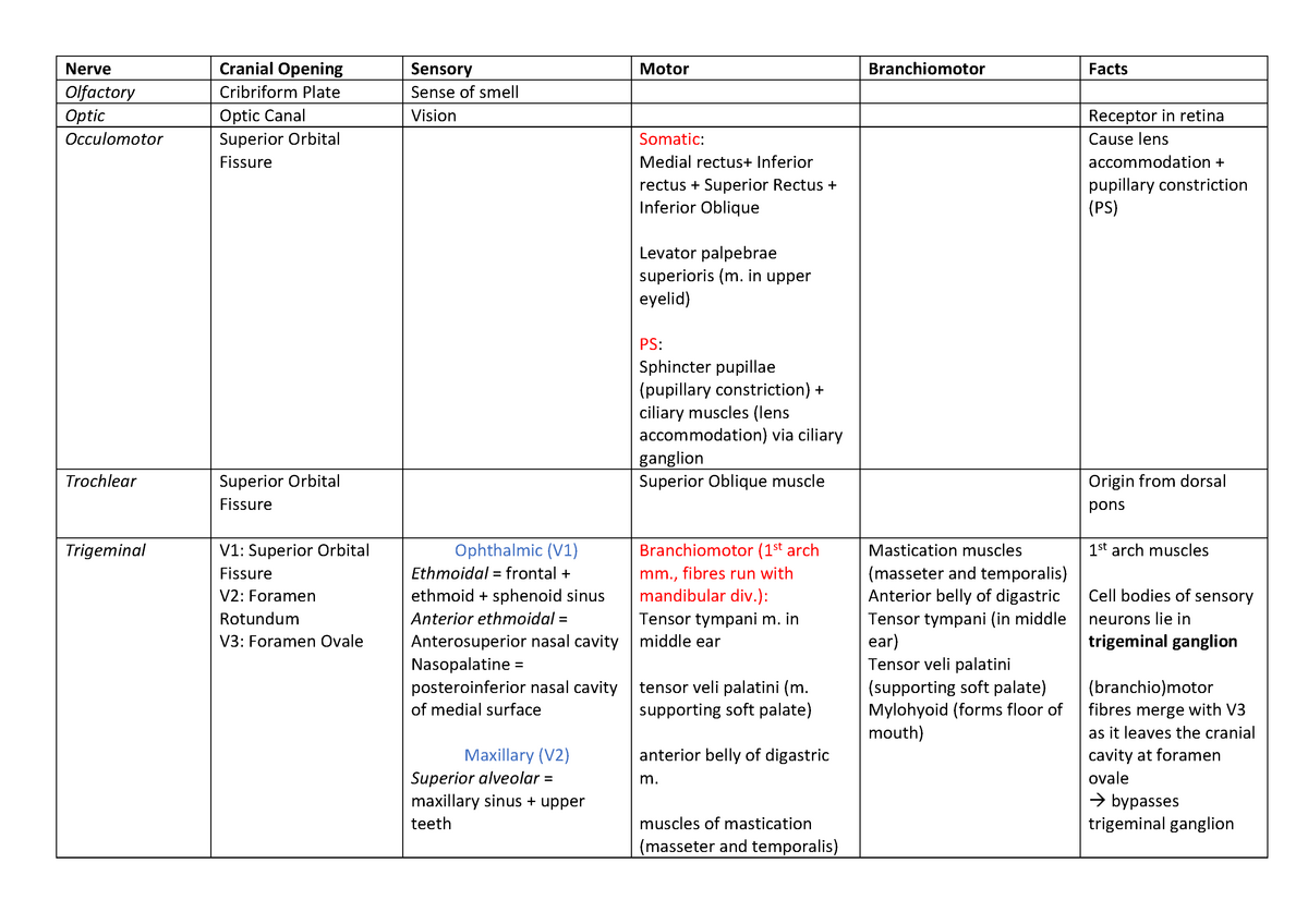 Cranial Nerves Doco Anatomy Revision Notes Good For Exam Prep Nerve Cranial Opening 3085