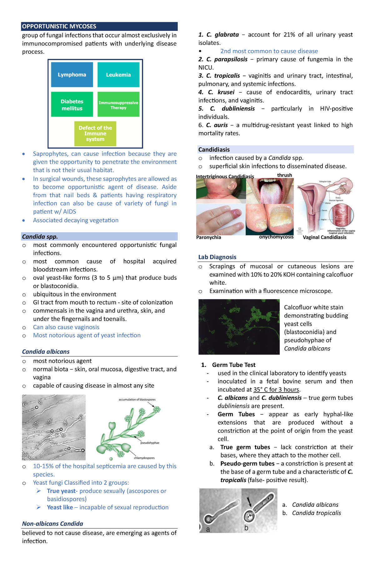 lecture for mycoviro - OPPORTUNISTIC MYCOSES group of fungal infections ...