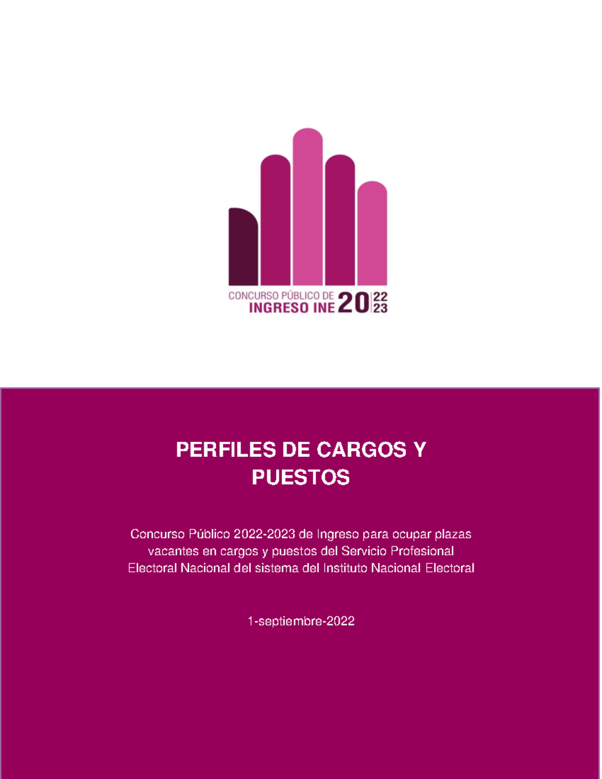 Despen Perfiles Vacantes 2022 2023 - PERFILES DE CARGOS Y PUESTOS ...