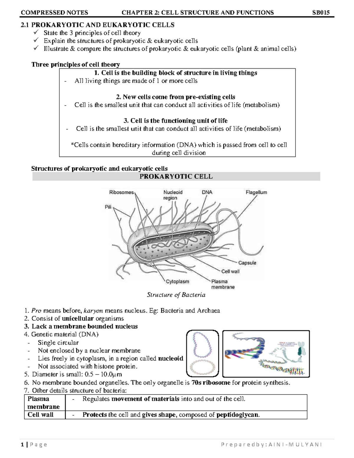2 compressed notes Cell structure and functions 2223 - 2 PROKARYOTIC ...
