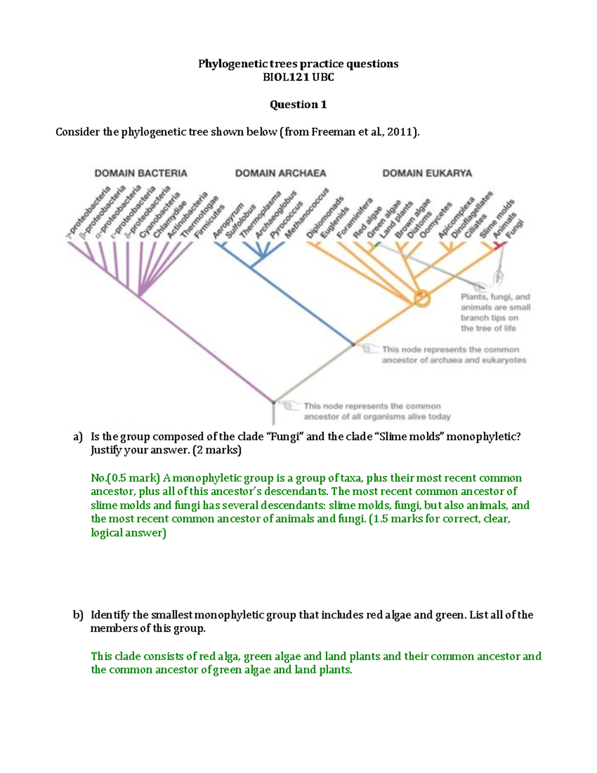 Phylogenetic trees practice questions 2022 key - Phylogenetic trees ...