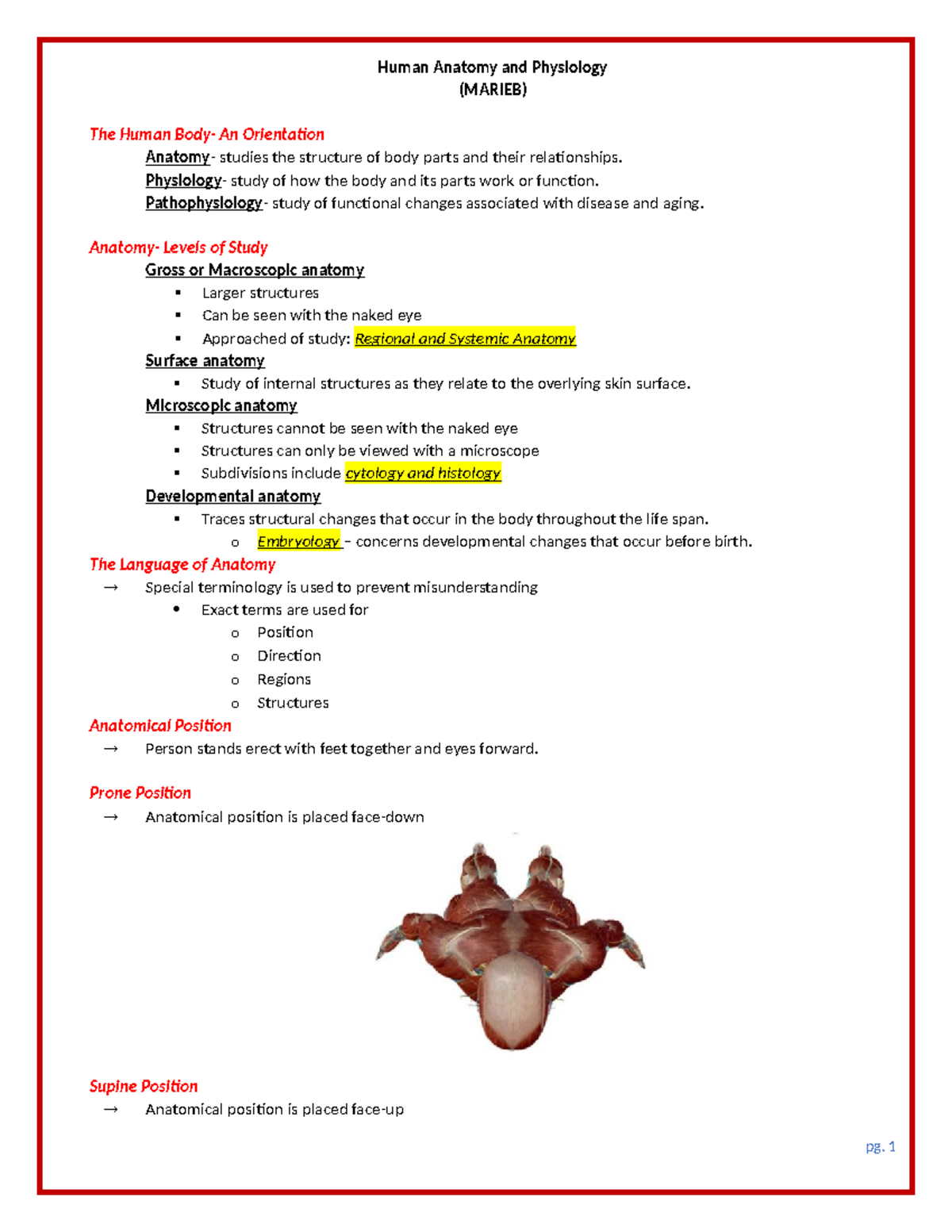 Chapter 1- Anaphy Notes - Human Anatomy and Physiology (MARIEB) The ...