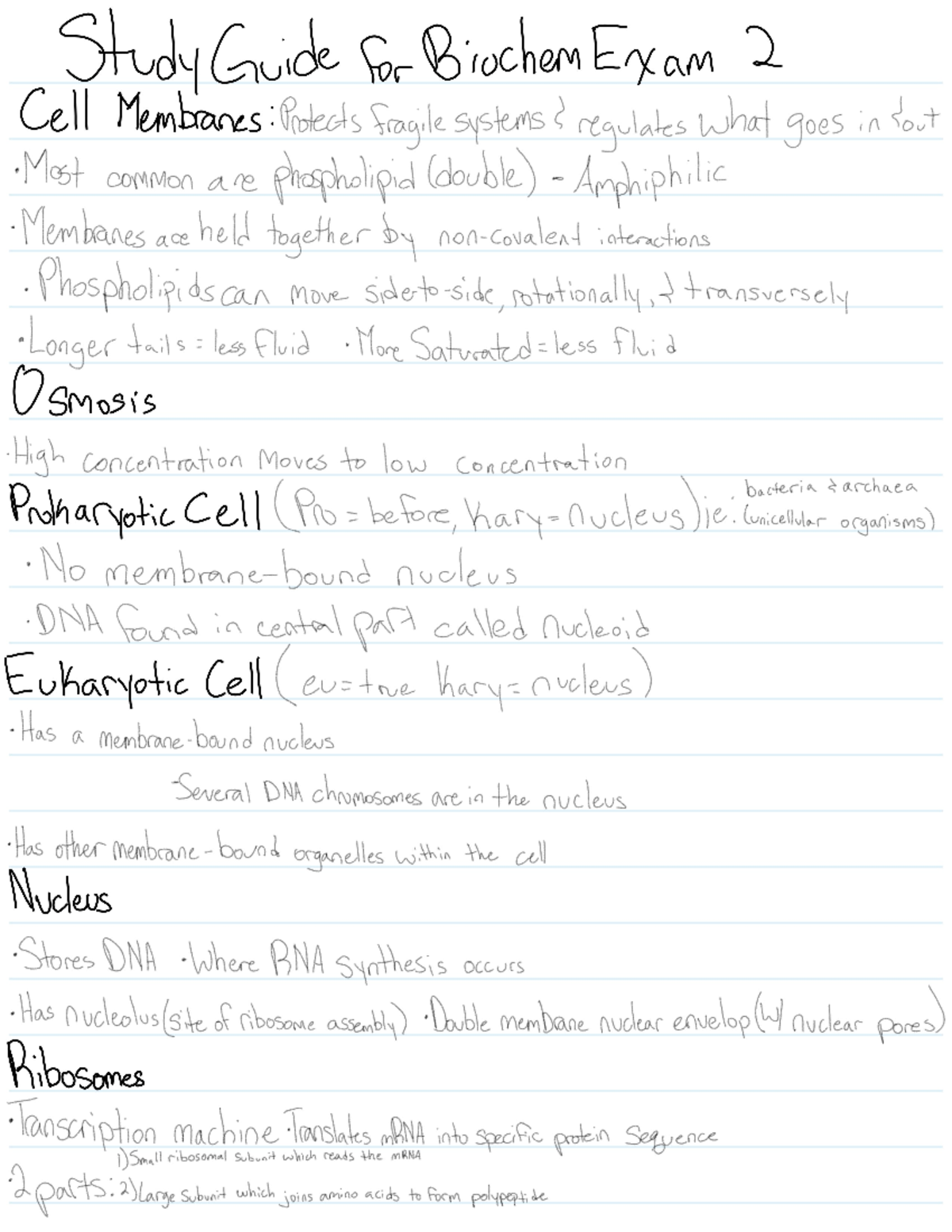 Biocehm Exam 2 Study Guide - CHM 1360 - Studocu