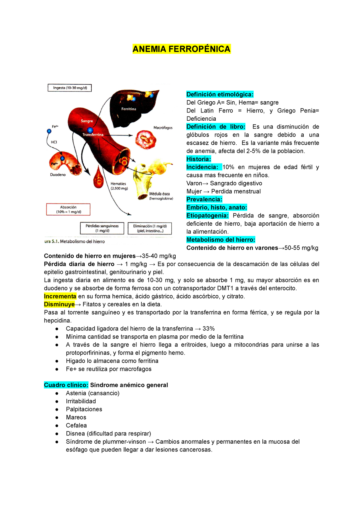 Anemia Ferropenica - Apuntes - ANEMIA FERROPÉNICA Definición ...