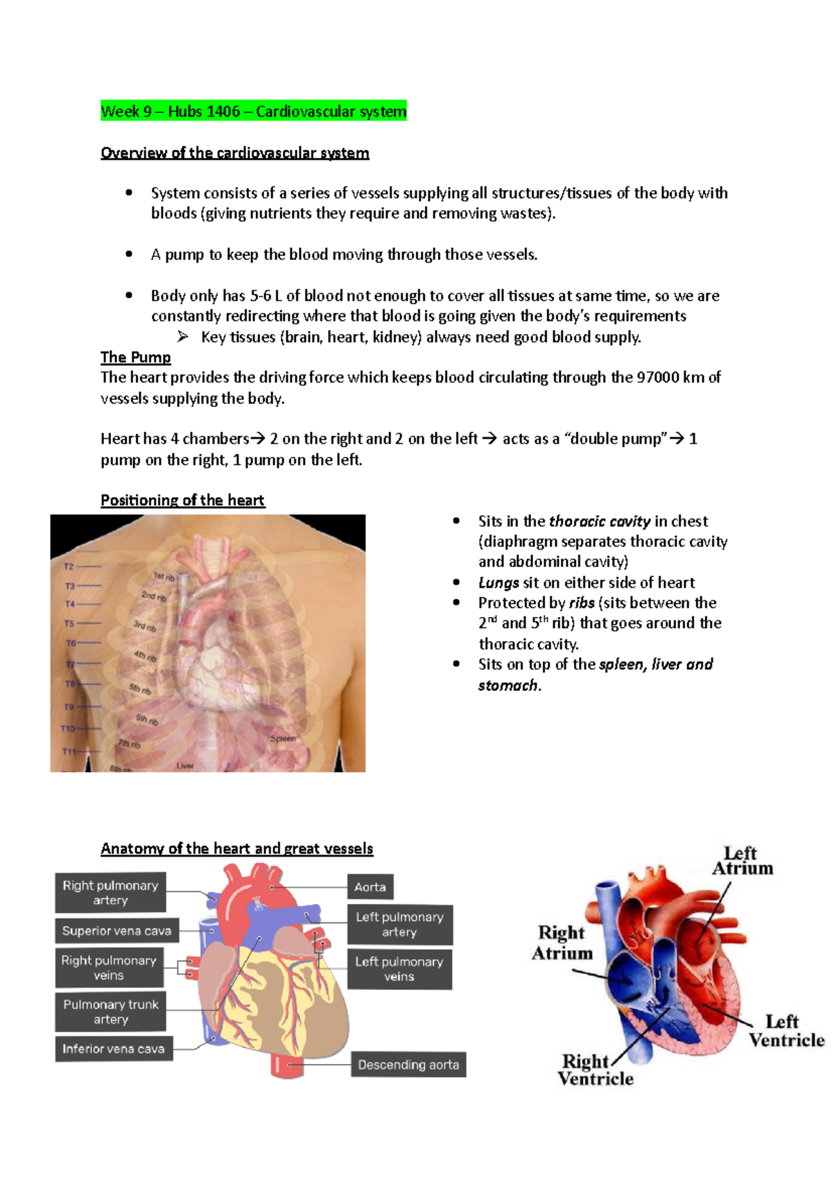 Week 9 - Lecture notes 9 - Week 9 – Hubs 1406 – Cardiovascular system ...