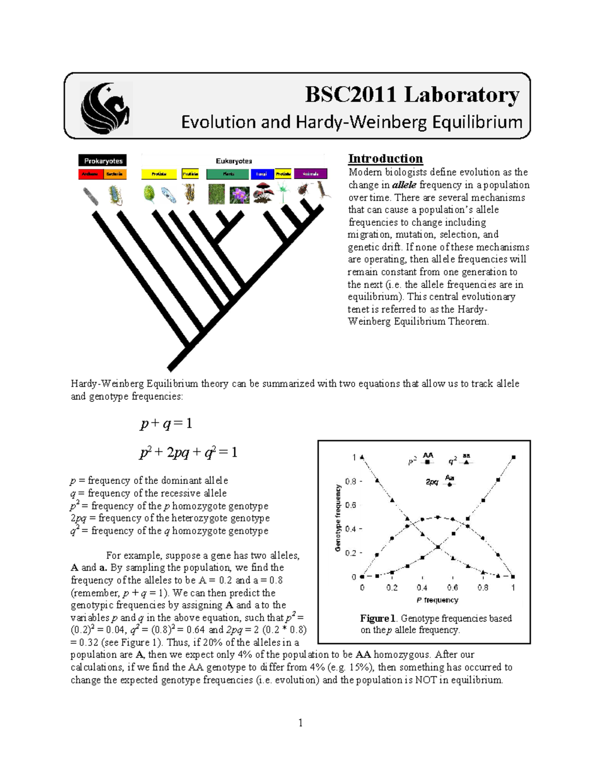 2 - Evolution and Hardy Weinberg Equilibrium - Student-2 - Introduction ...