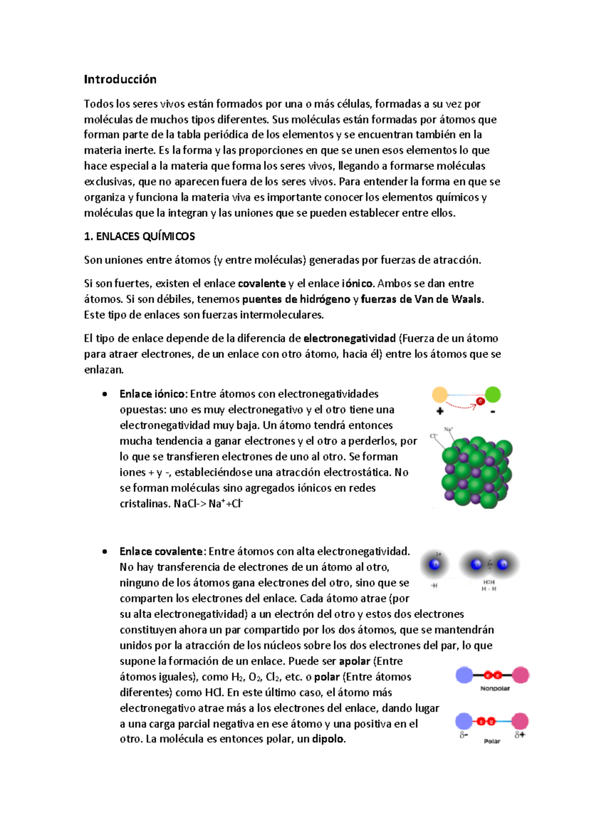 Bloque 1. Las Biomoléculas - Introducción Todos Los Seres Vivos Están ...