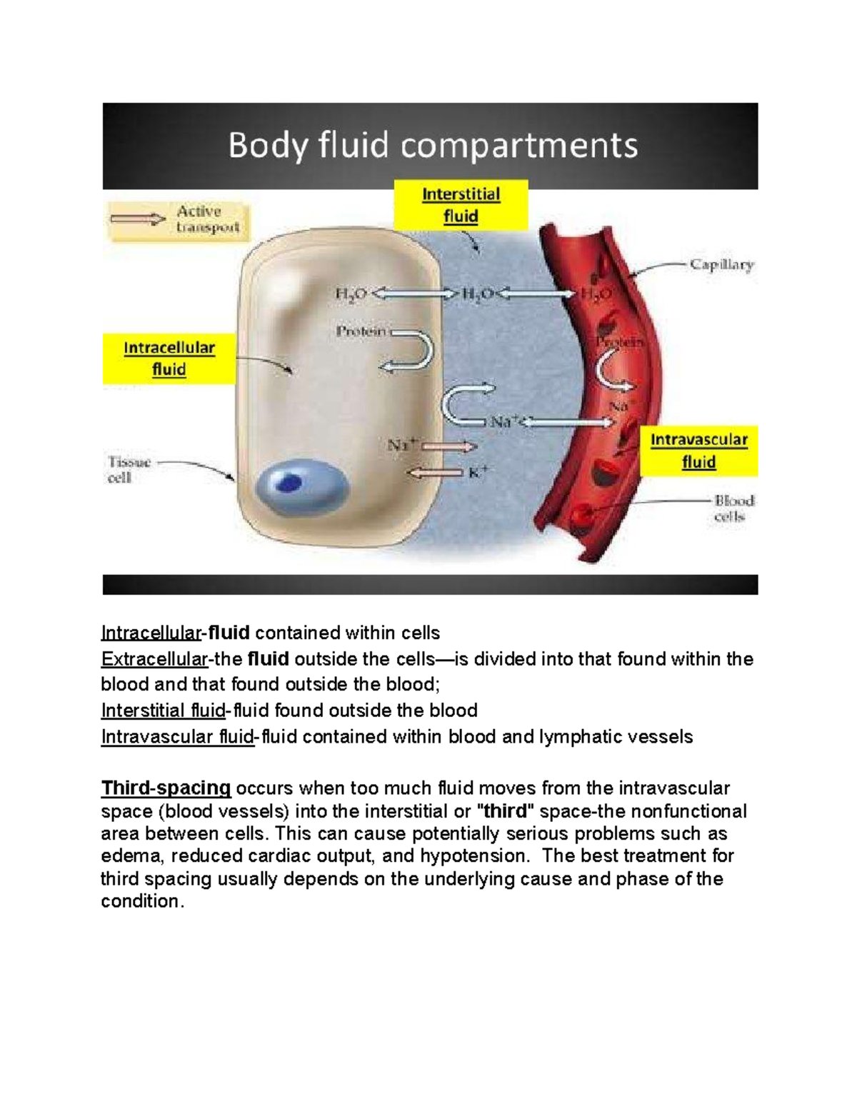 A Little About Third Spacing Intracellular Fluid Contained Within 