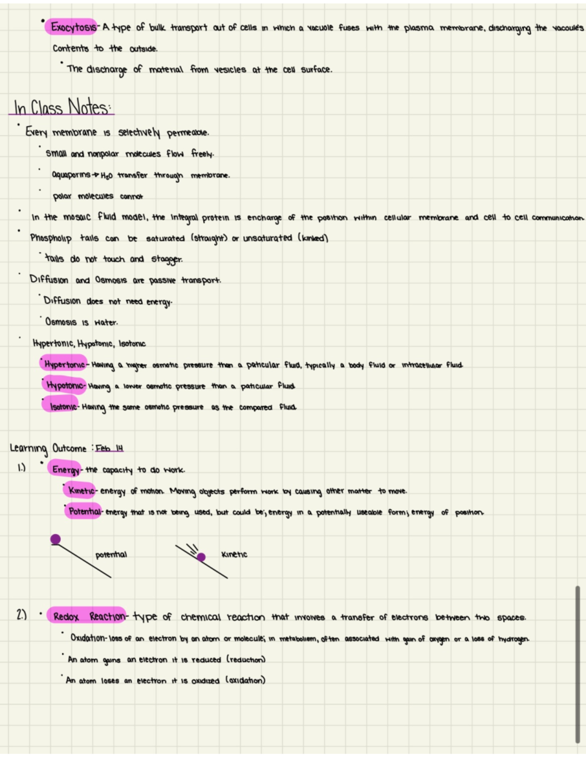 Notes 3 - Learning outcome - BIOL1081 - Studocu