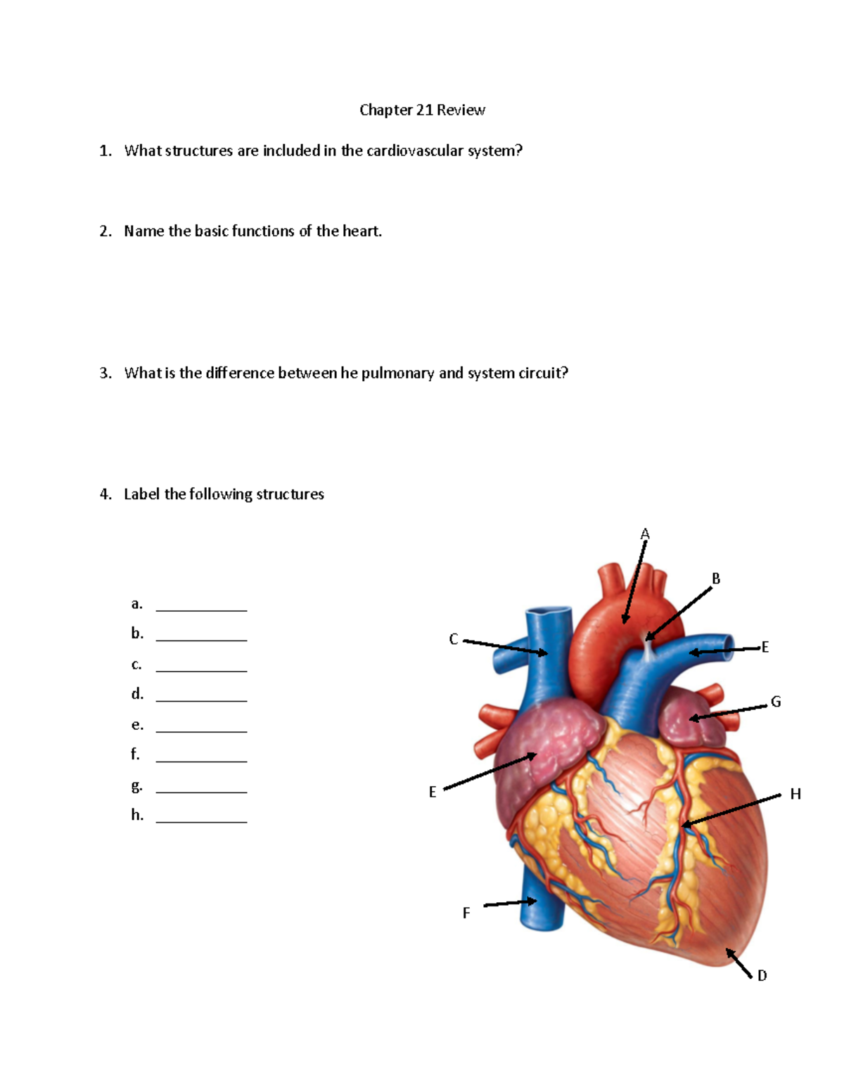Chapter 21 Review - Health anatomy testing practice - Chapter 21 Review