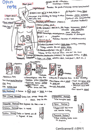 [Solved] 7 standards of nursing examples in the clinical setting ...