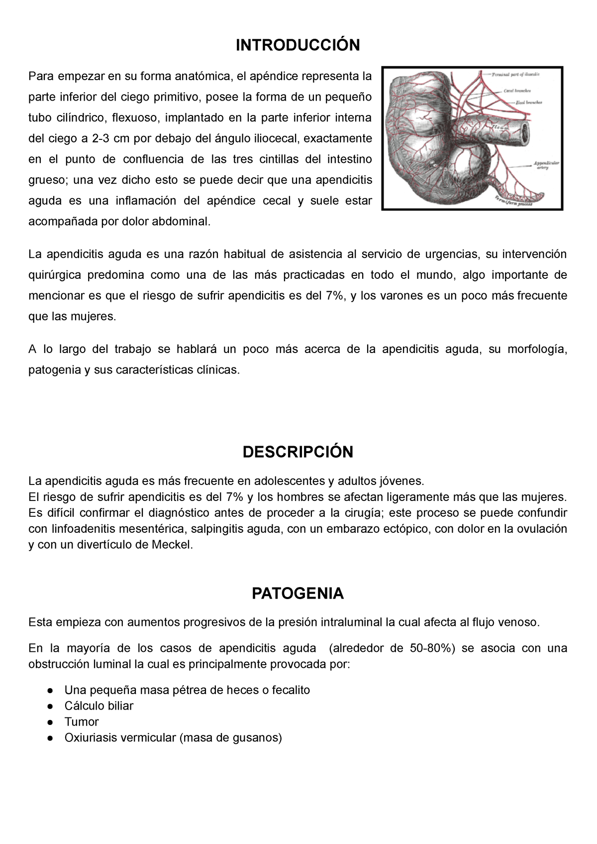 Apendicitis Aguda Resumen Introducci N Para Empezar En Su Forma Anat Mica El Ap Ndice Studocu