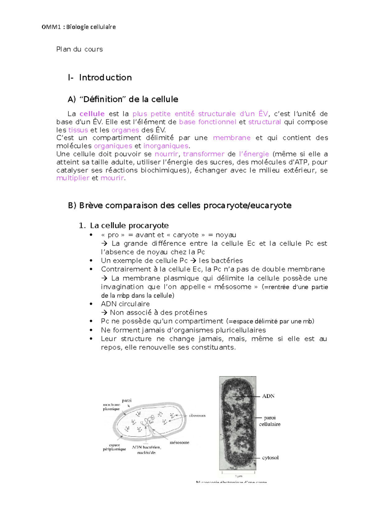 Cours de biologie cellulaire Plan du cours I Introduction A