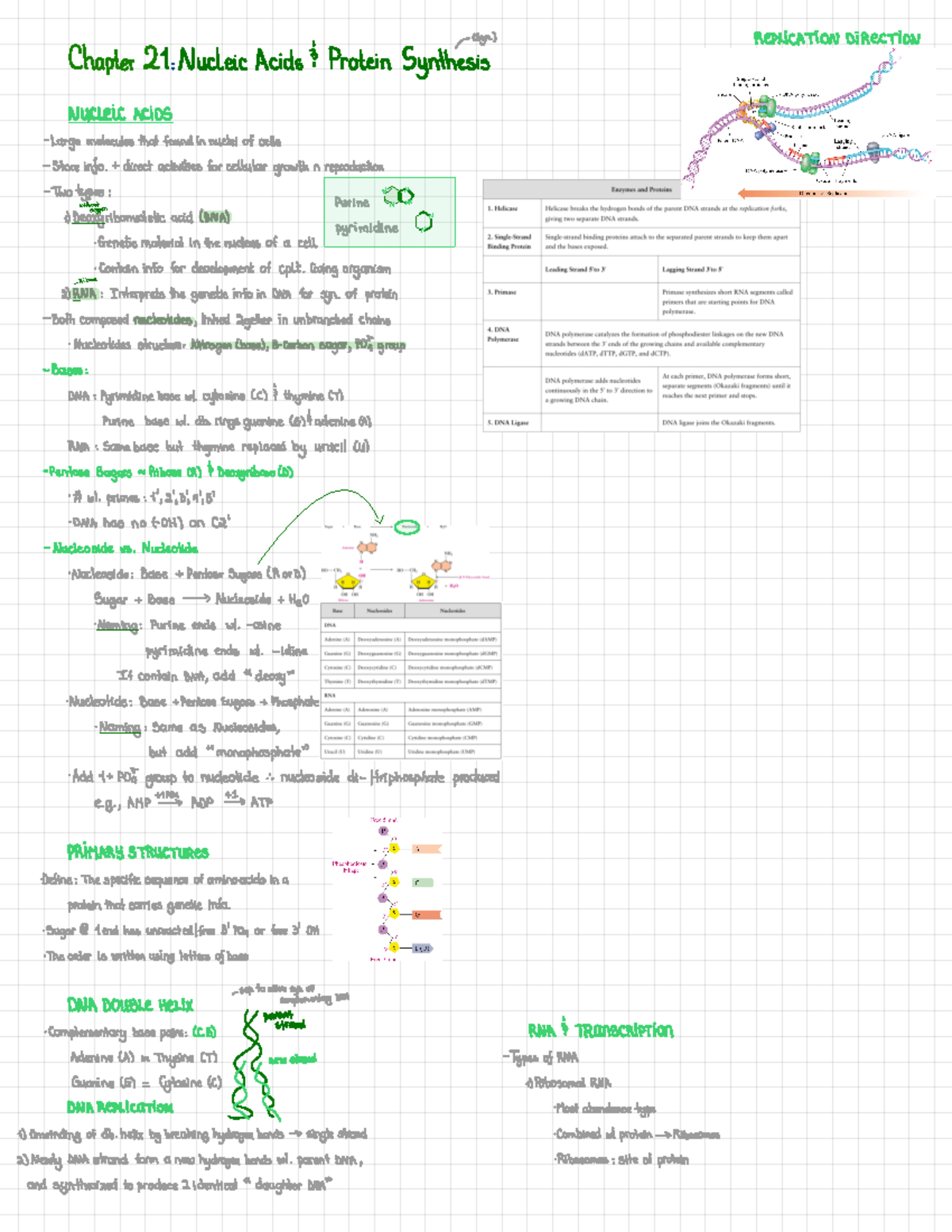 CHEM1152 C21 - Nucleic acids, including DNA (deoxyribonucleic acid) and ...