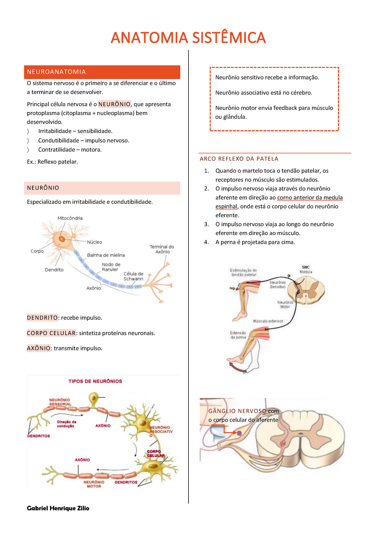 Resumo De Neuroanatomia Introdu O Geral De Vias E Nervos Gabriel Henrique Zilio Anatomia