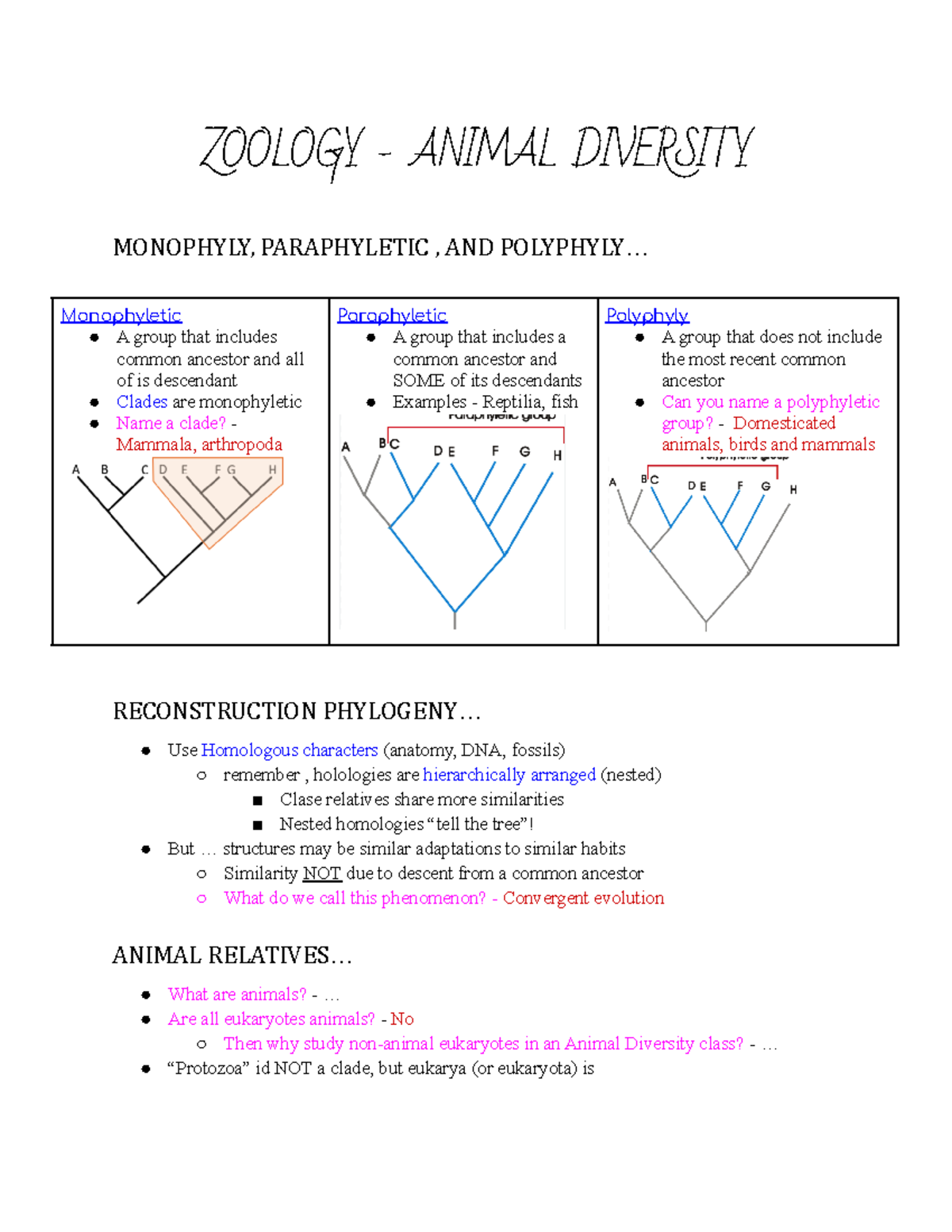 Zoology Notes Part 3 - ZOOLOGY - ANIMAL DIVERSITY MONOPHYLY ...