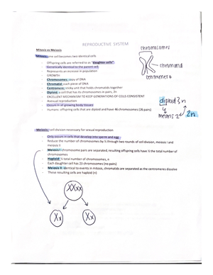 Anatomy And Physiology 2 Cardiovascular System Exam Notes - HSCI 2021 ...