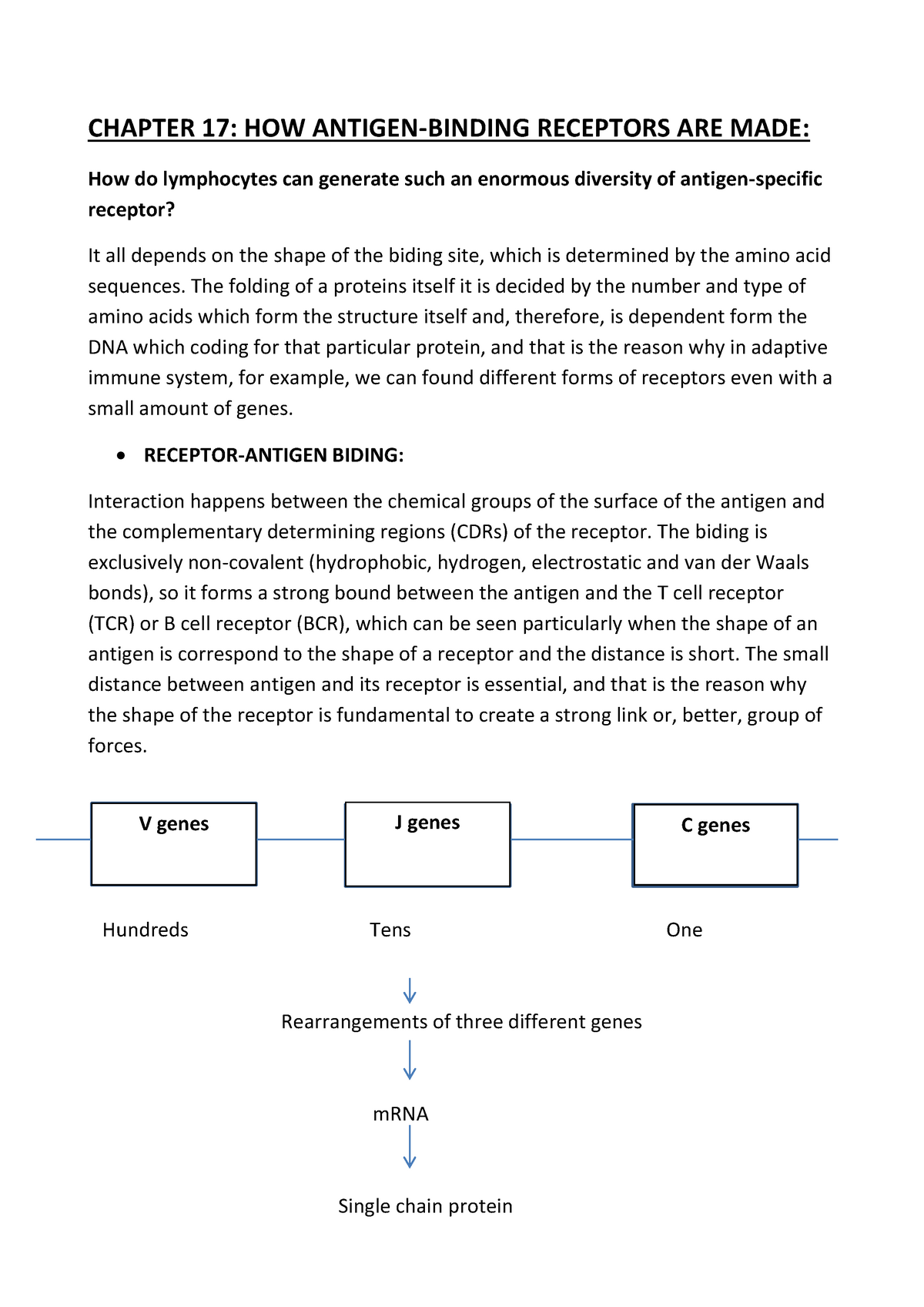 Chapter 17 Antigen Receptors Warning Tt Undefined Function 32 Warning Tt Undefined 0574