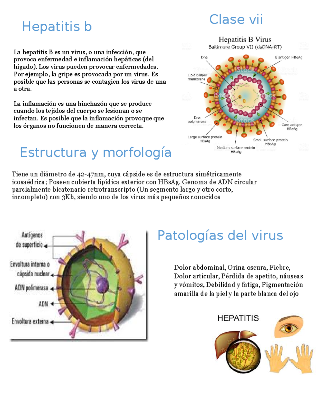 Doc2 Ejercicios De Biologia Que Pueden Ayudar A Una Tarea Ensayo O 