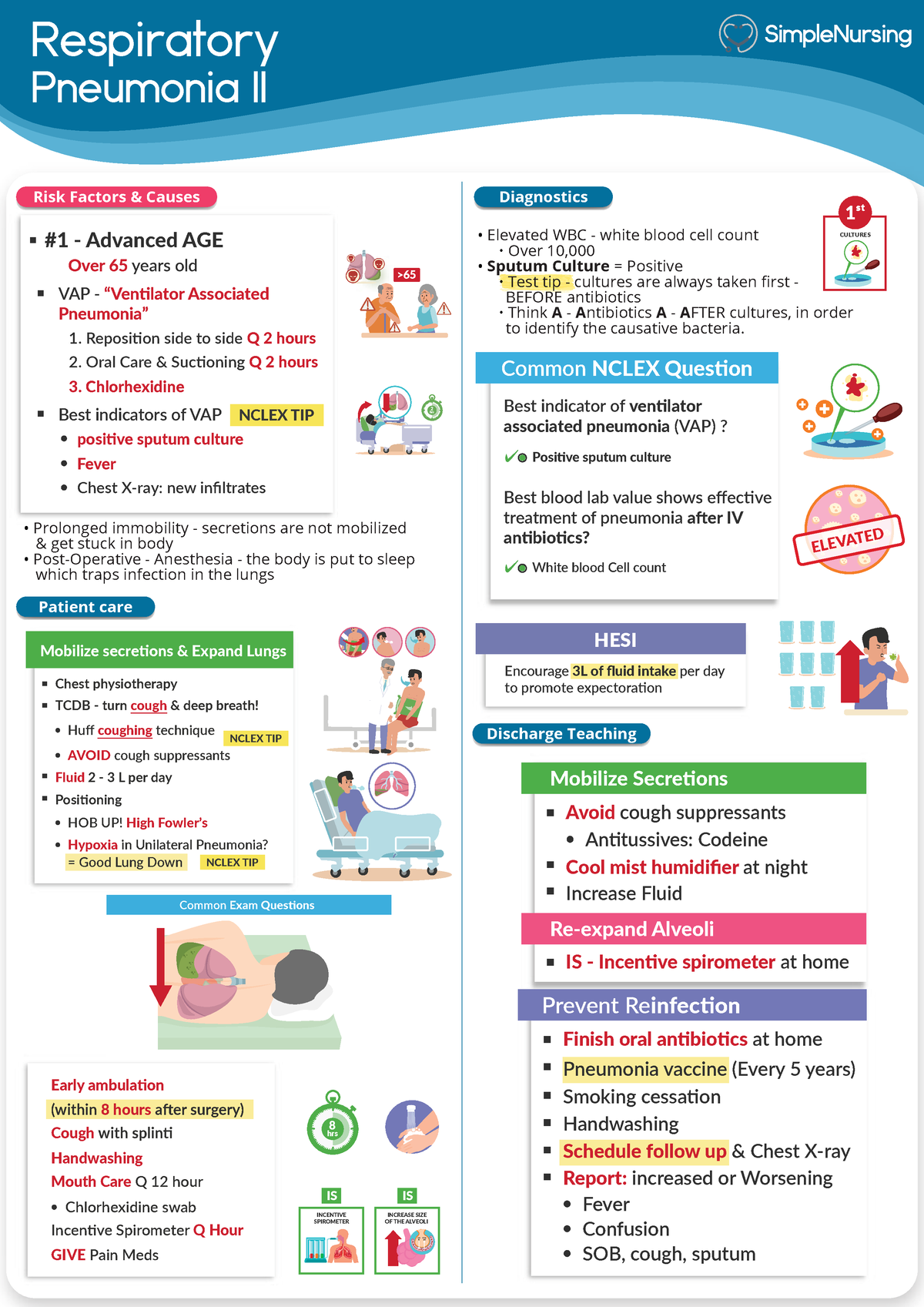 Pneumonia 2 - S/N - Respiratory Pneumonia II Patient care Discharge ...