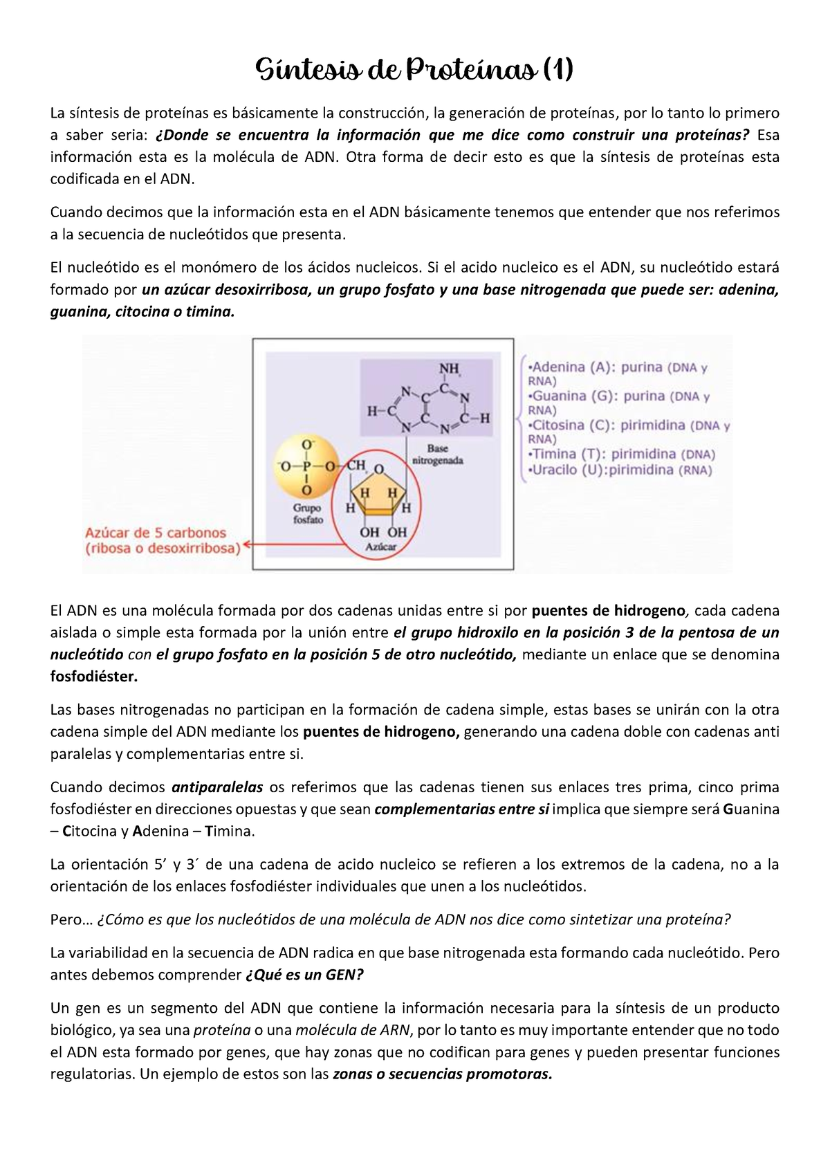 1 ADN - Sintesis DE Proteinas 2022 - Síntesis De Proteínas (1) La ...