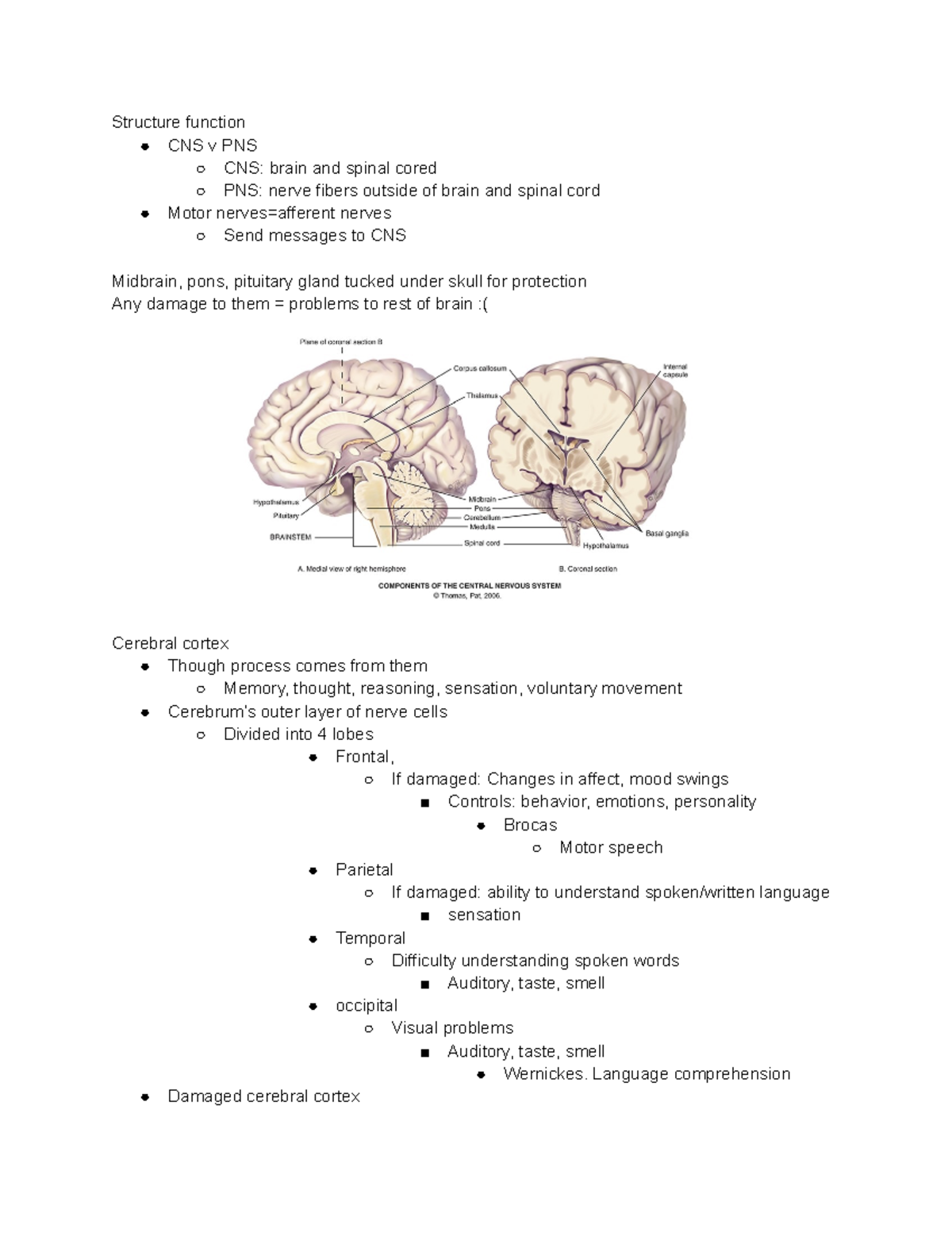 Neurological System - Structure function CNS v PNS CNS: brain and ...