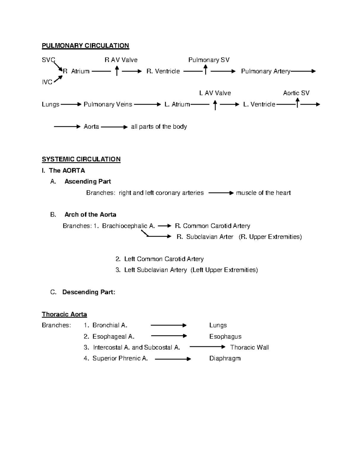 Blood Tracing - notes - PULMONARY CIRCULATION SVC R AV Valve Pulmonary ...