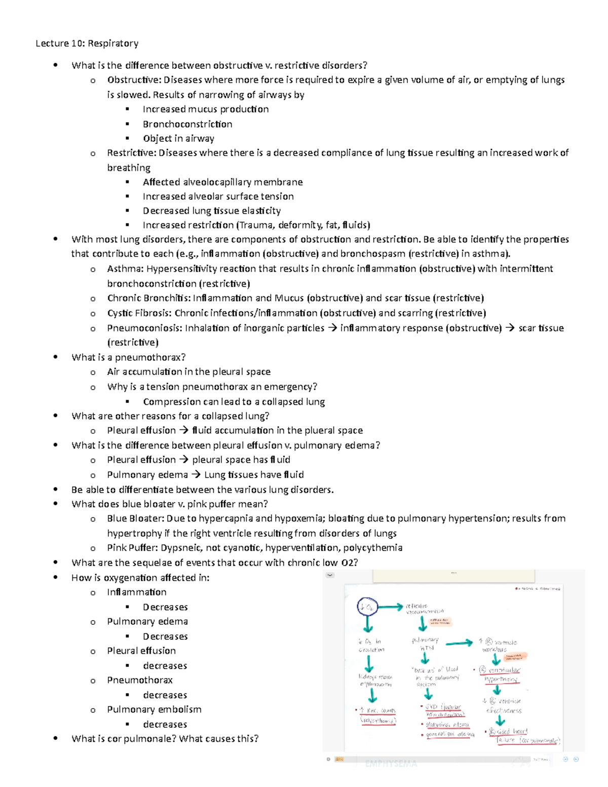 Study Guide Exam 3 - Lecture 10: Respiratory What is the difference ...
