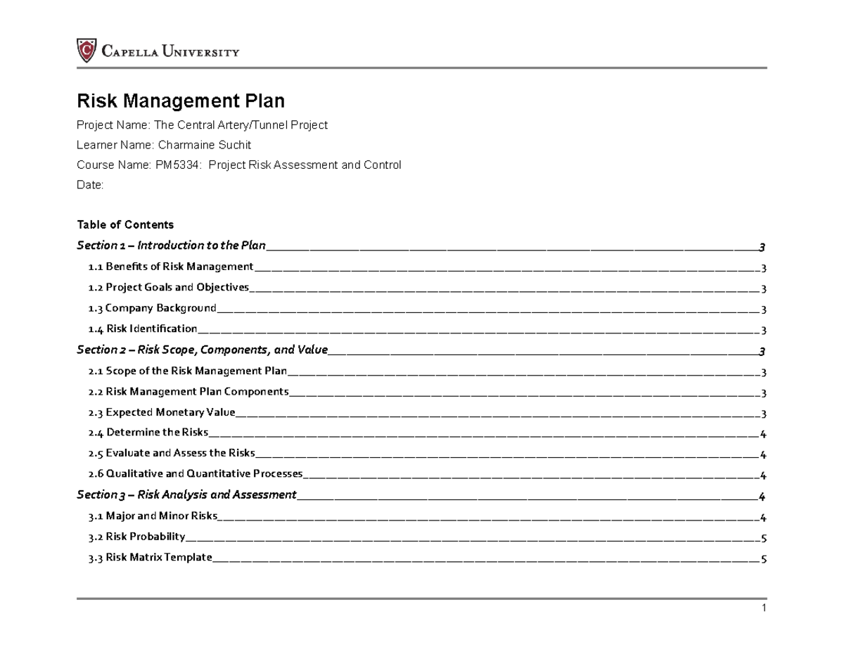 assignment-10-final-risk-management-plan-risk-management-plan