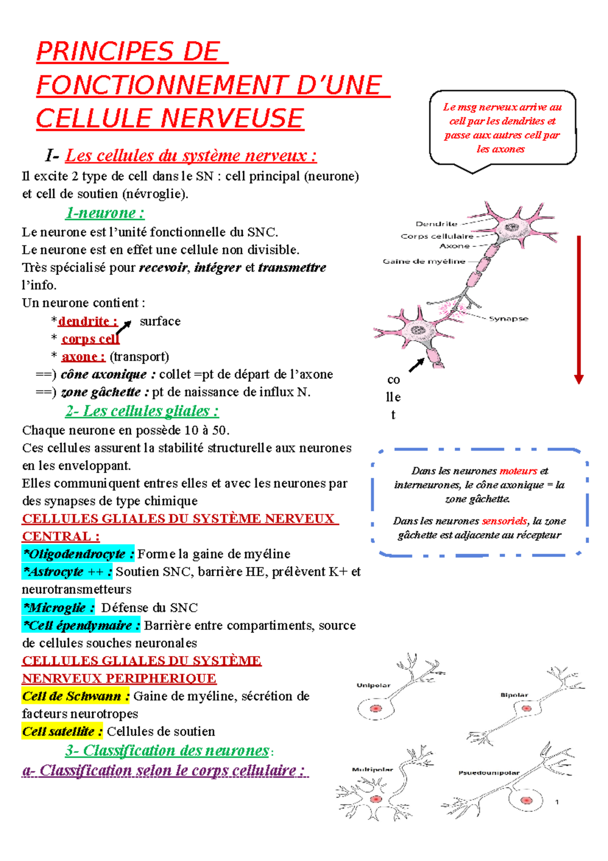 neuro-phyio-principes-de-fonctionnement-d-une-cellule-nerveuse-i-les