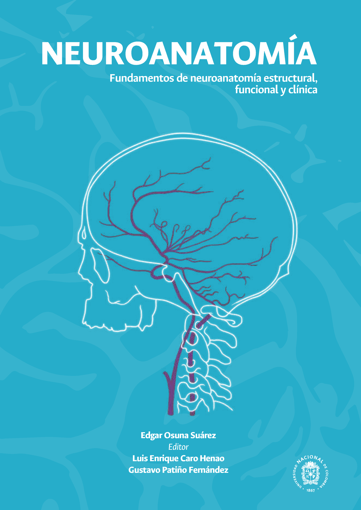 Neuroanatomia Fundamentos De Neuroanatom - NEUROANATOMÍA Fundamentos De ...