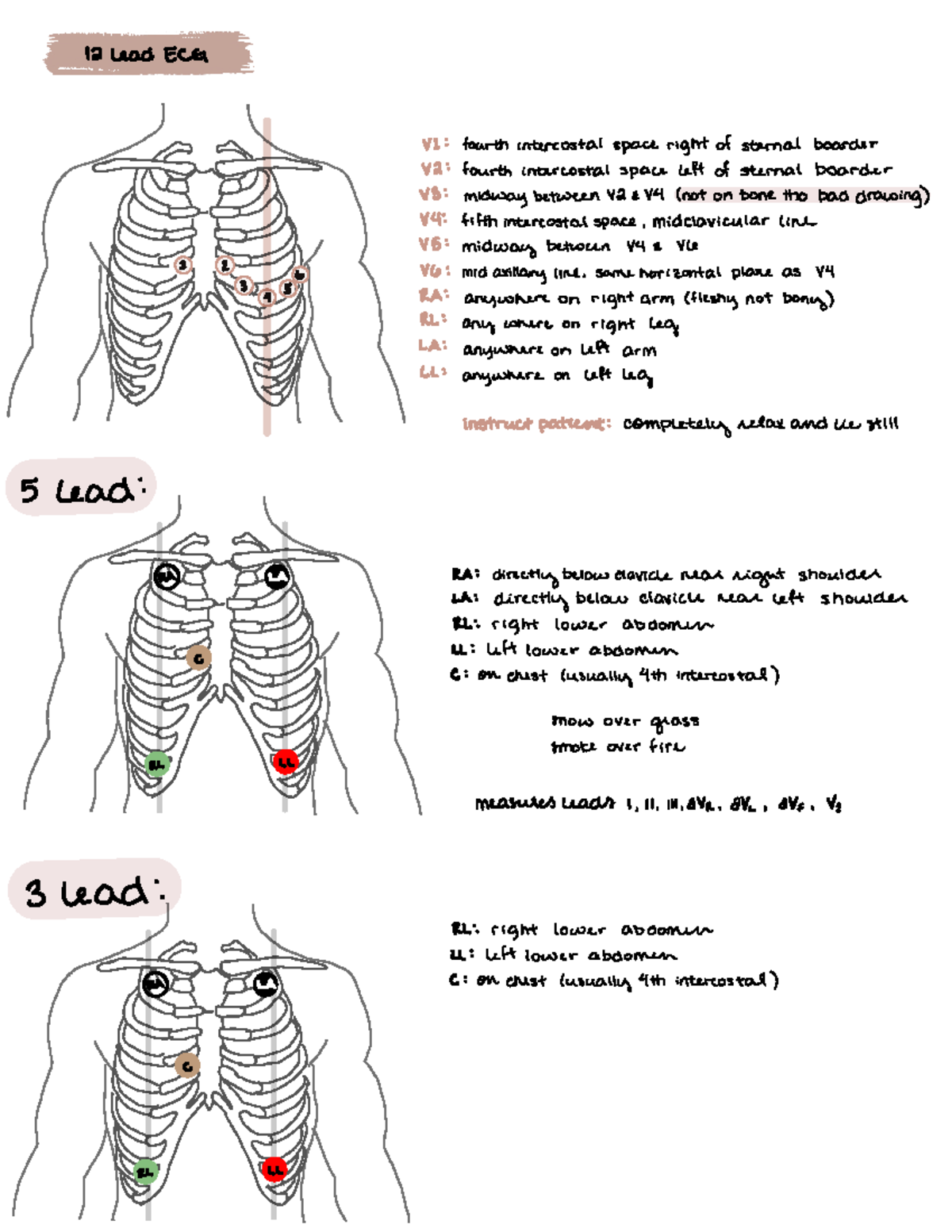 ECG lead placement 12 lead ECG " " " " "" " "" " Studocu